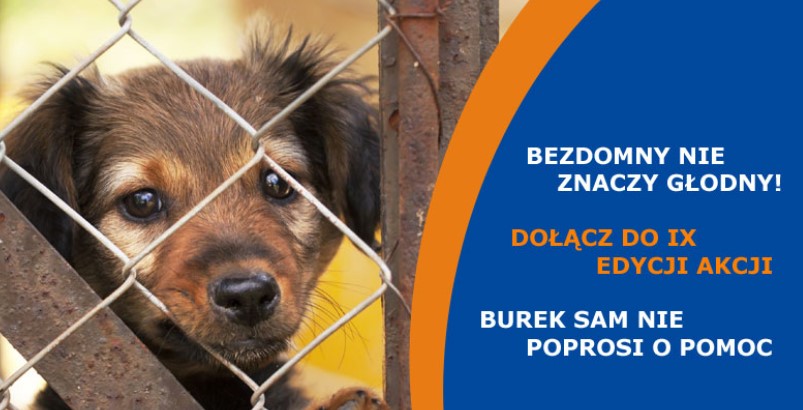 pomoc dla schroniska.jpg