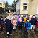 Jeżyki dokarmiają ptaki -1.jpg