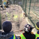 4.Wycieczka do zoo. Biedronki.jpeg