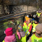 7.Wycieczka do zoo. Biedronki.jpeg