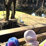 6.Wycieczka do zoo.Biedronki.jpeg