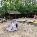 zagroda pokazowa żubrów  - kopna góra-8.jpg