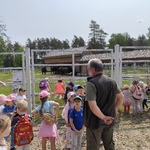 zagroda pokazowa żubrów  - kopna góra-9.jpg