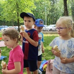 6.Piknik z lodami..jpg
