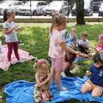 9.Piknik z lodami