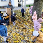 3.RATUJEMY KASZTANOWCE.jpg