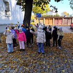1_ RATUJEMY KASZTANOWCE.jpg