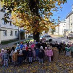 6.RATUJEMY KASZTANOWCE.jpg