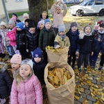 7.RATUJEMY KASZTANOWCE.jpg