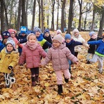 6.Biedronki i Złota jesień.jpg