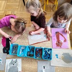 Dzień kota w jeżykach-2.jpg