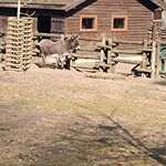 Z wizytą w Białostockim Zoo 