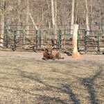 Z wizytą w Białostockim Zoo 