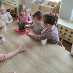 Jeżyki sadzą cebule kwiatowe.jpg